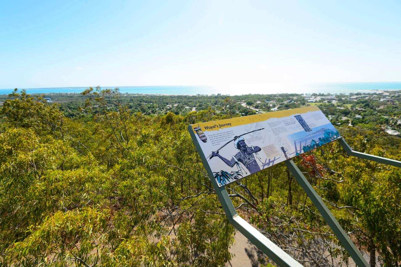 Roy Marika Lookout