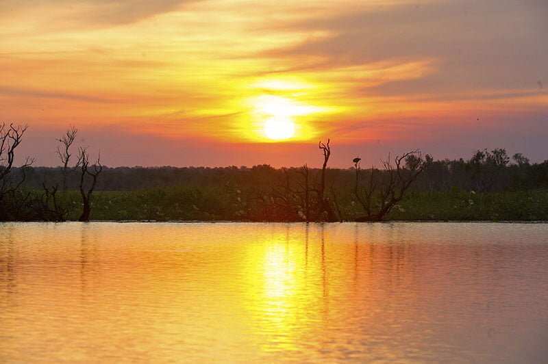 Mary River National Park