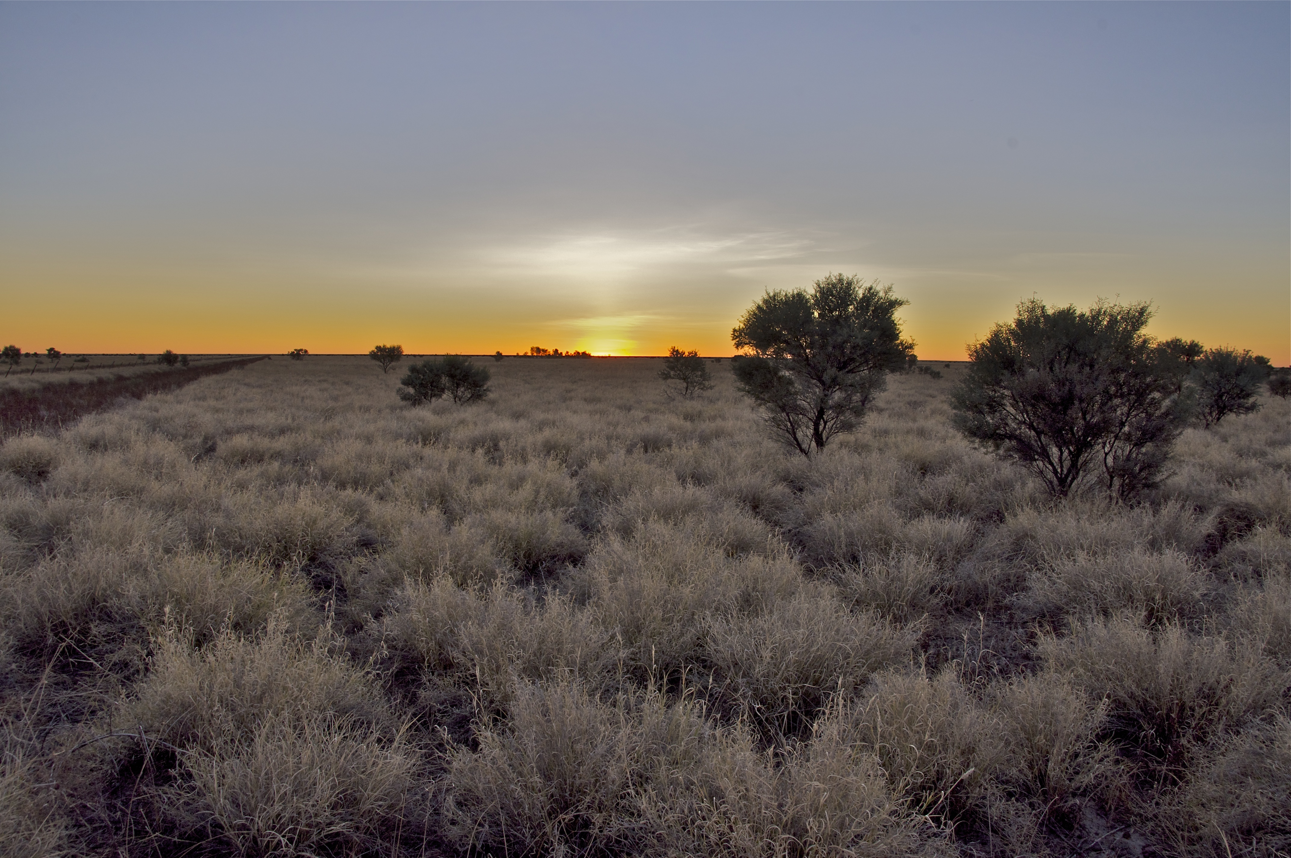 Connells Lagoon Conservation Reserve
