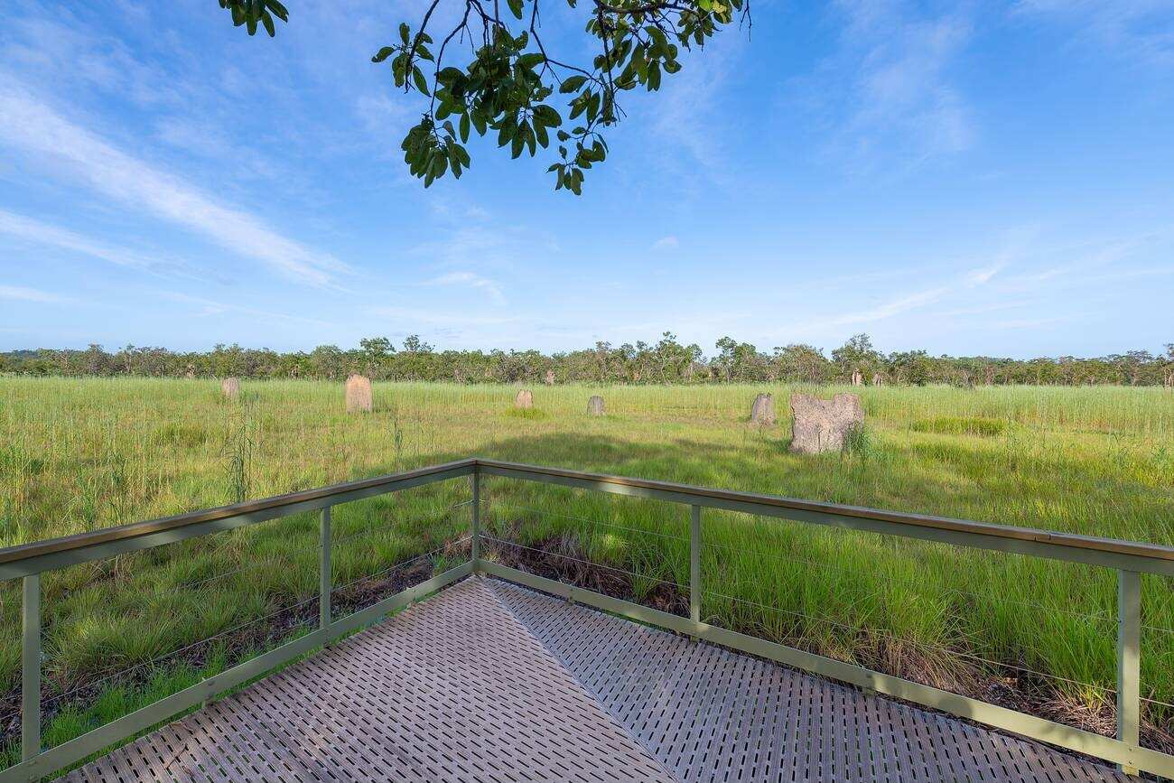 Magnetic Termite Mounds
