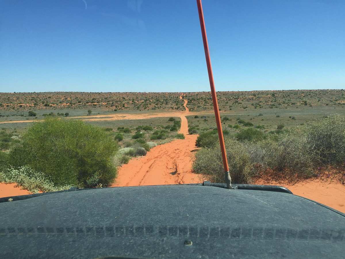 Simpson Desert National Park