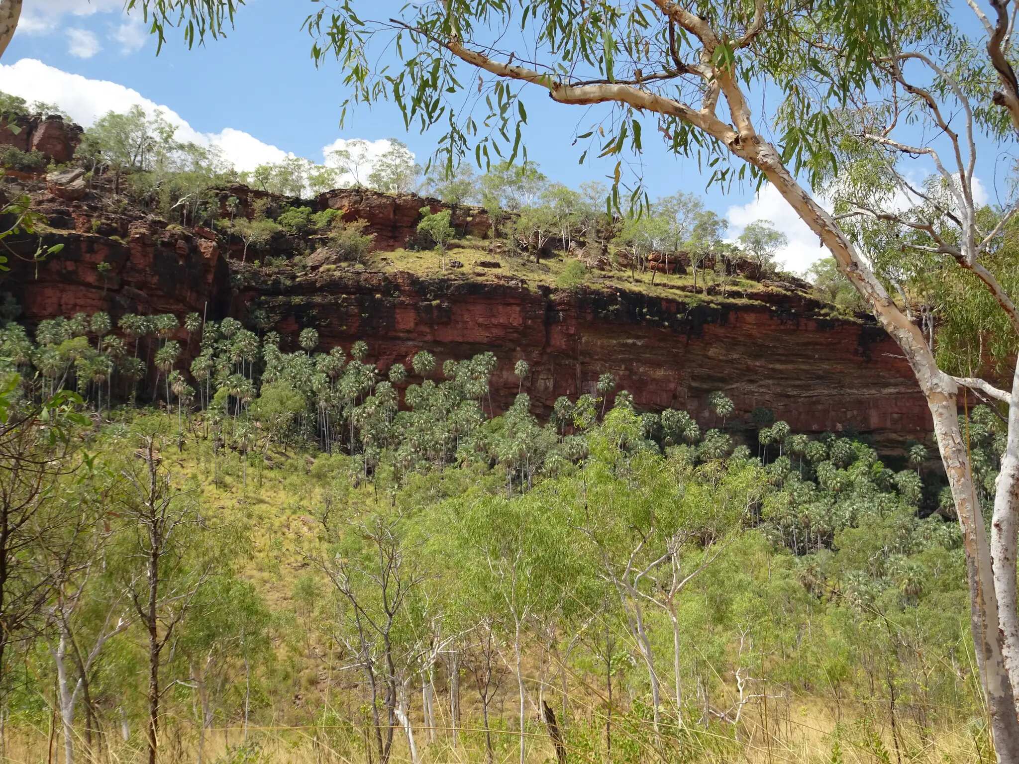 Joe Creek Loop