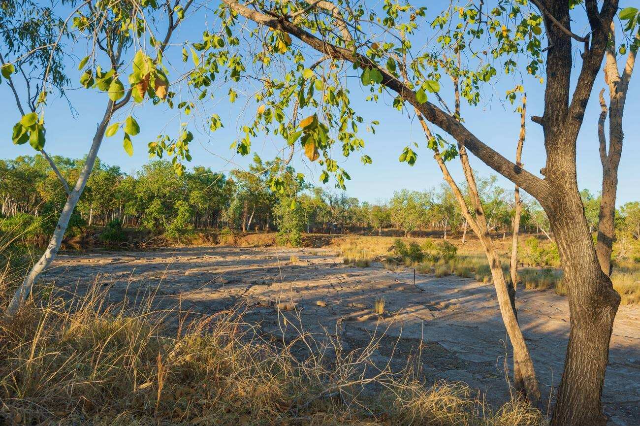 Gregory National Park(Judbarra)