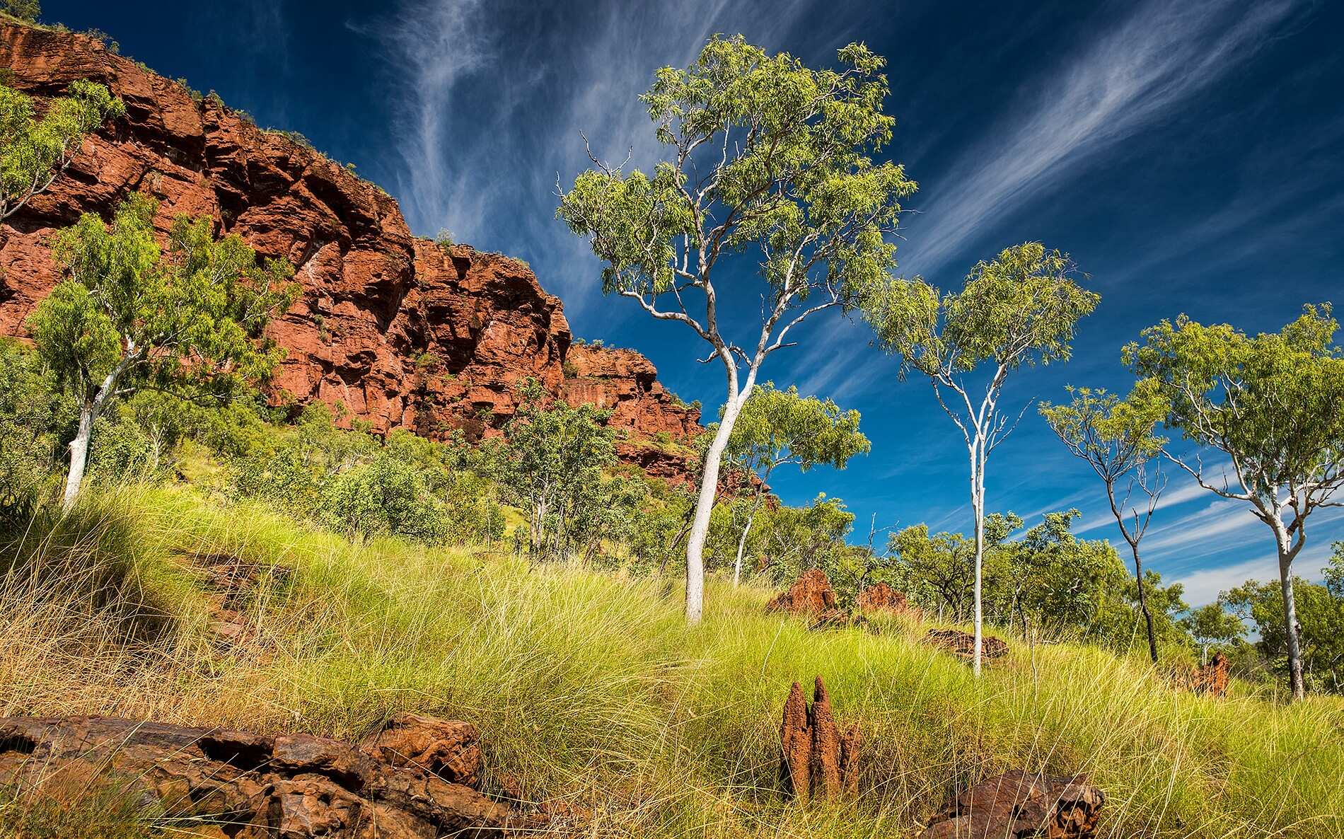 Victoria River Escarpment