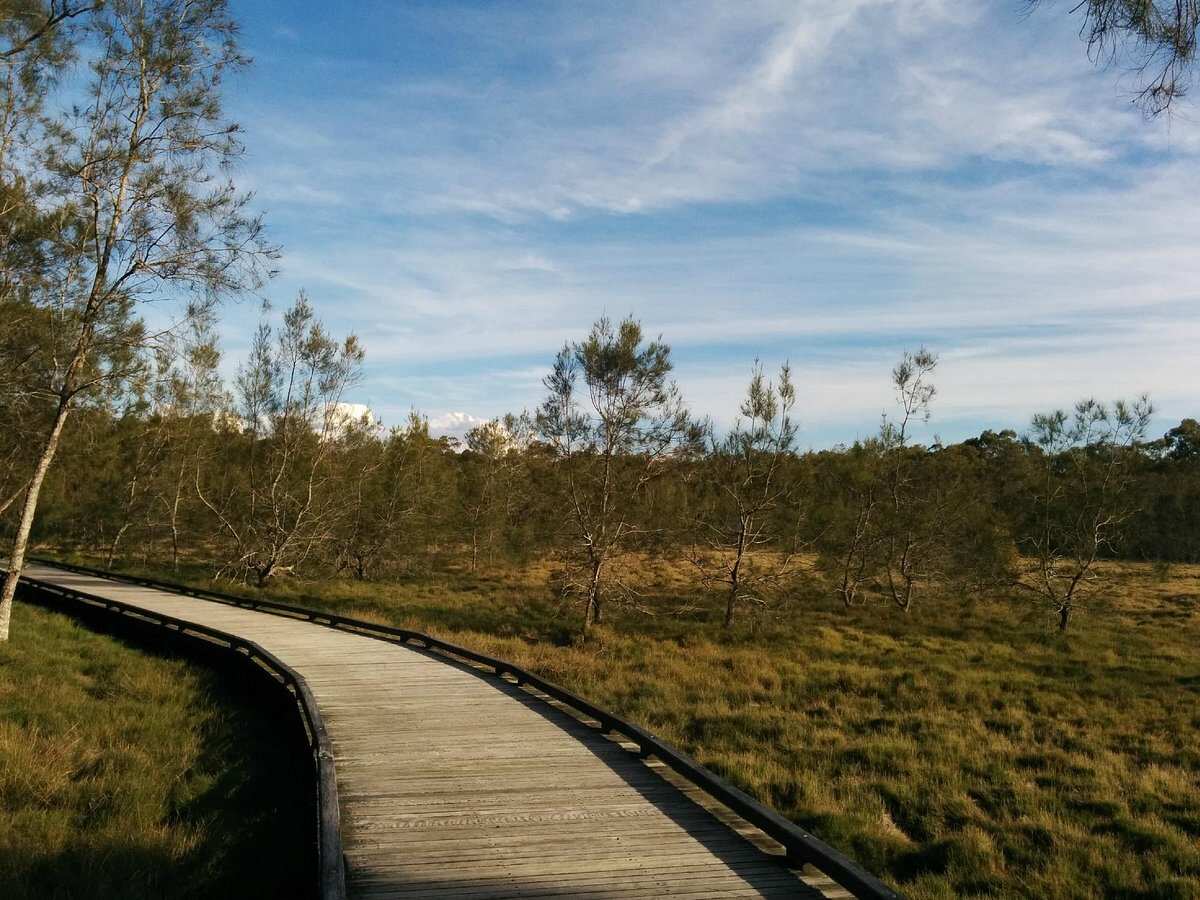 Boondall Wetlands Reserve