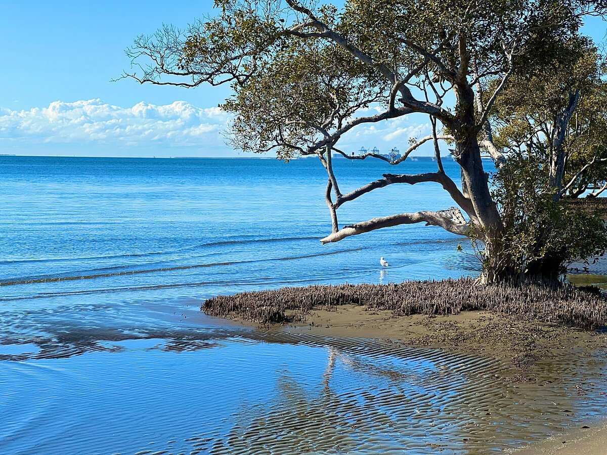 Nudgee Beach