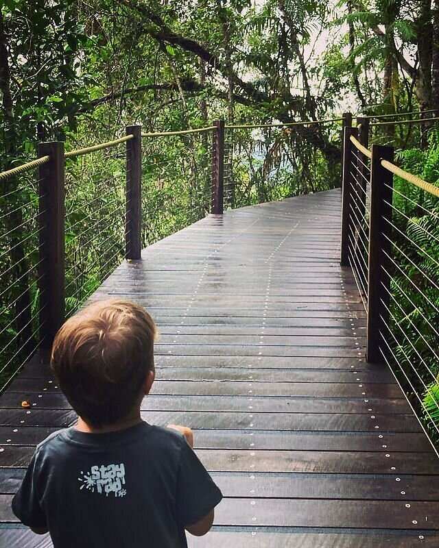 Skyrail Rainforest Cableway
