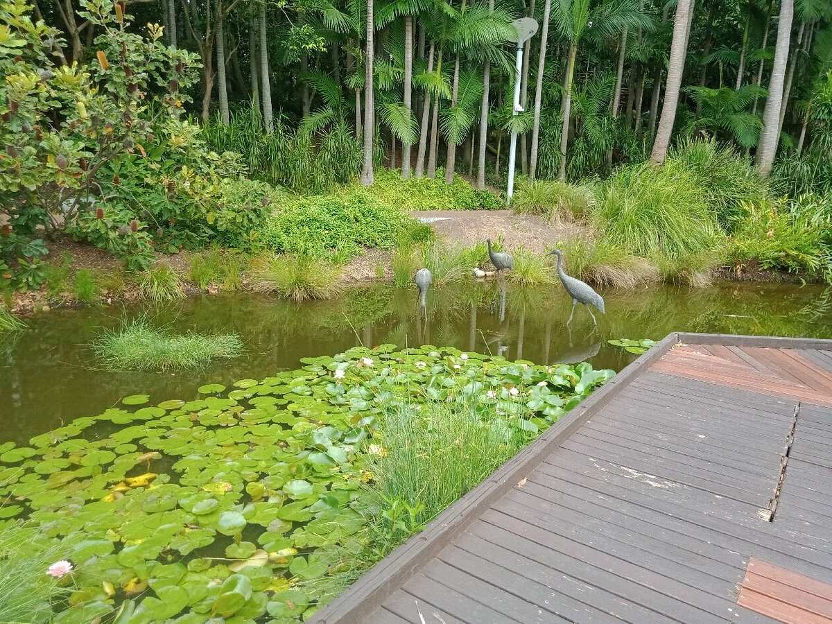 Cairns City Botanic Gardens