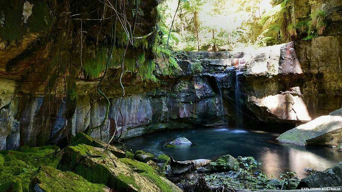 Carnarvon Gorge