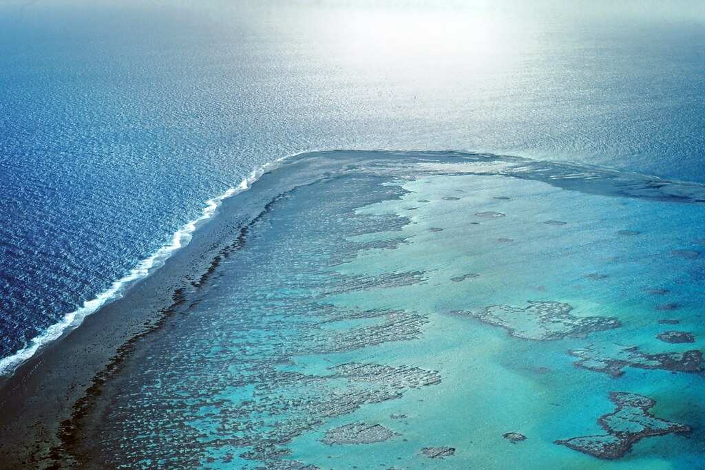 Fitzroy Reef
