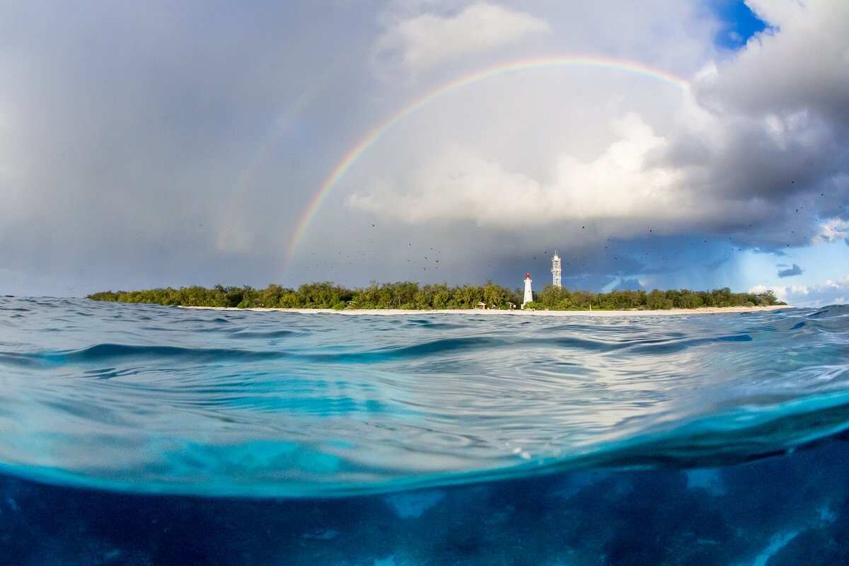 Lady Elliot Island