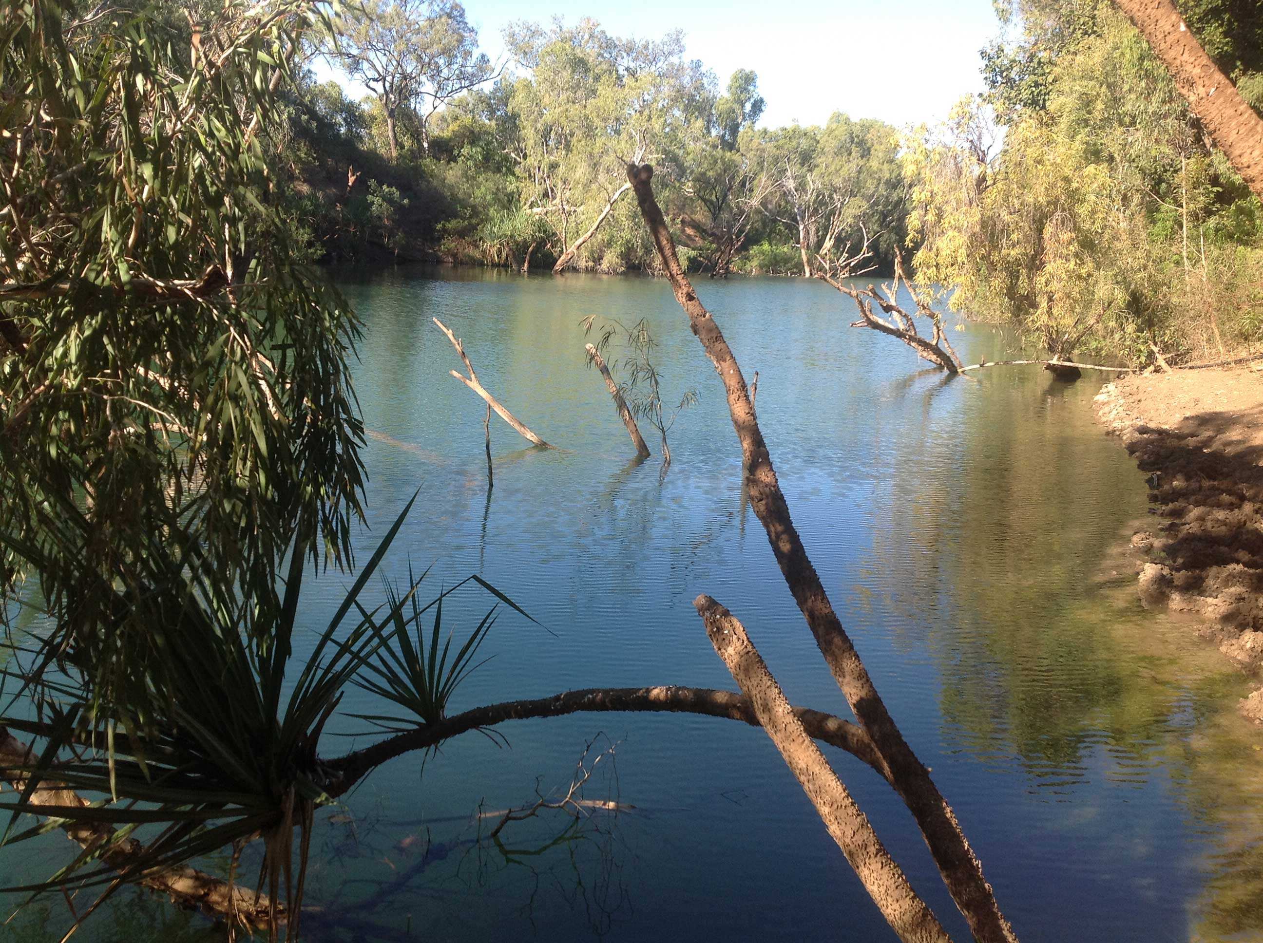 Gregory Downs