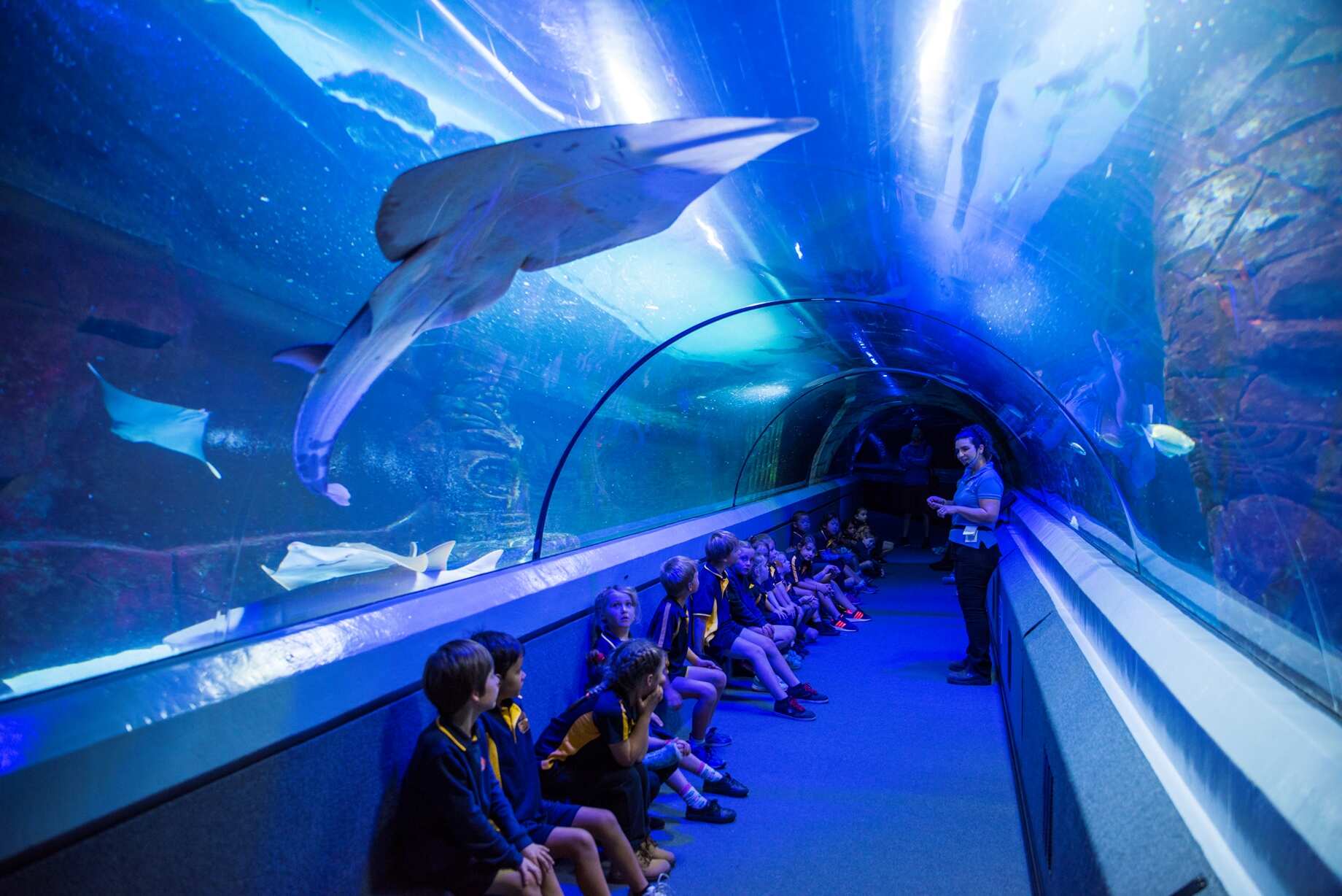 Reef World Aquarium