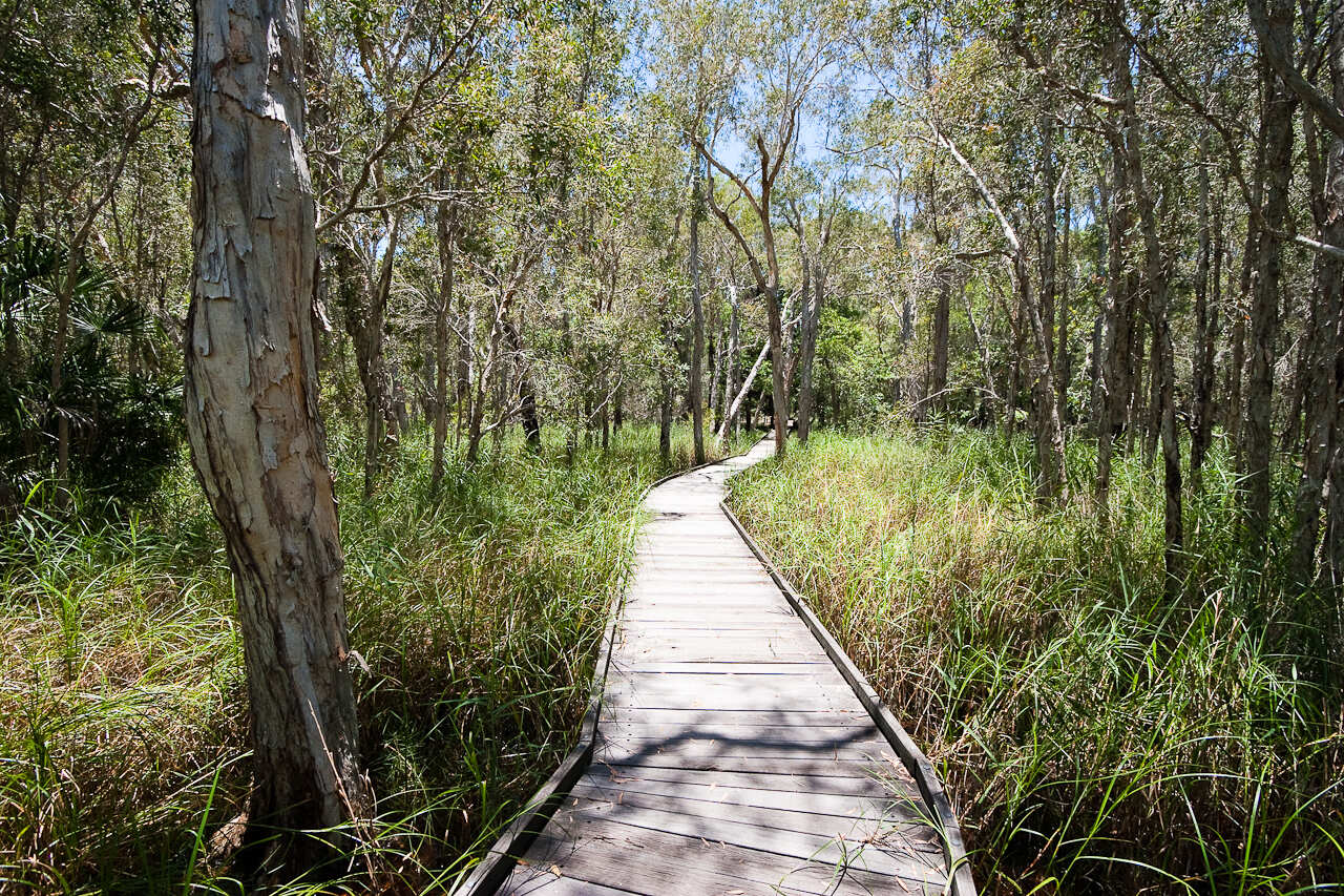 Burrum Coast National Park