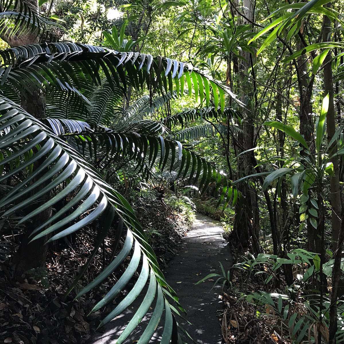 Tondoon Botanic Gardens