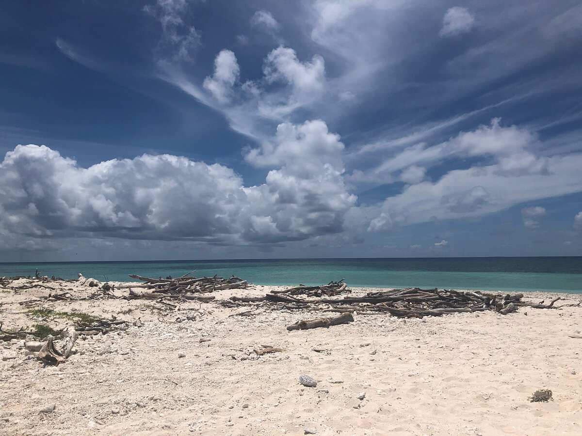 Lady Musgrave Island