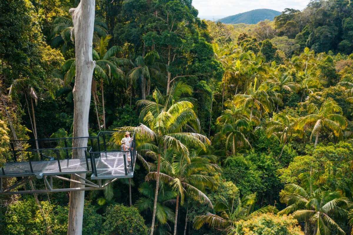 Tamborine Mountain