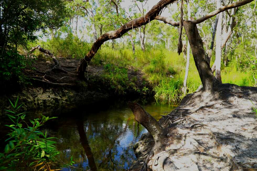 Jackey Jackey Creek