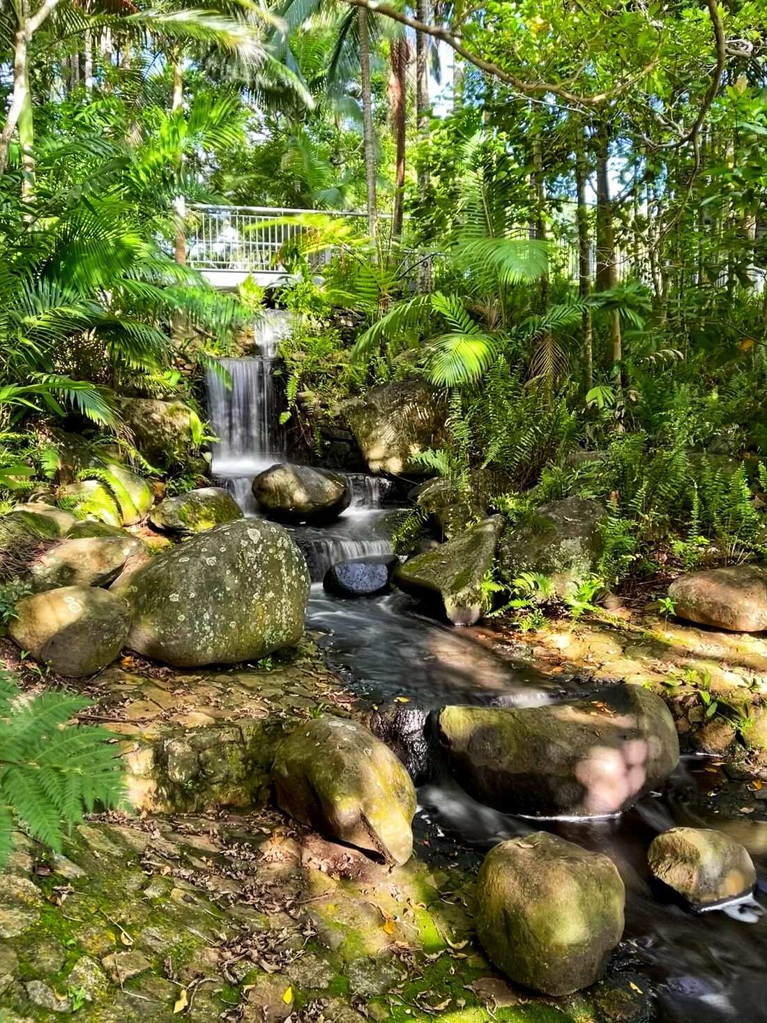 Mackay Regional Botanic Gardens