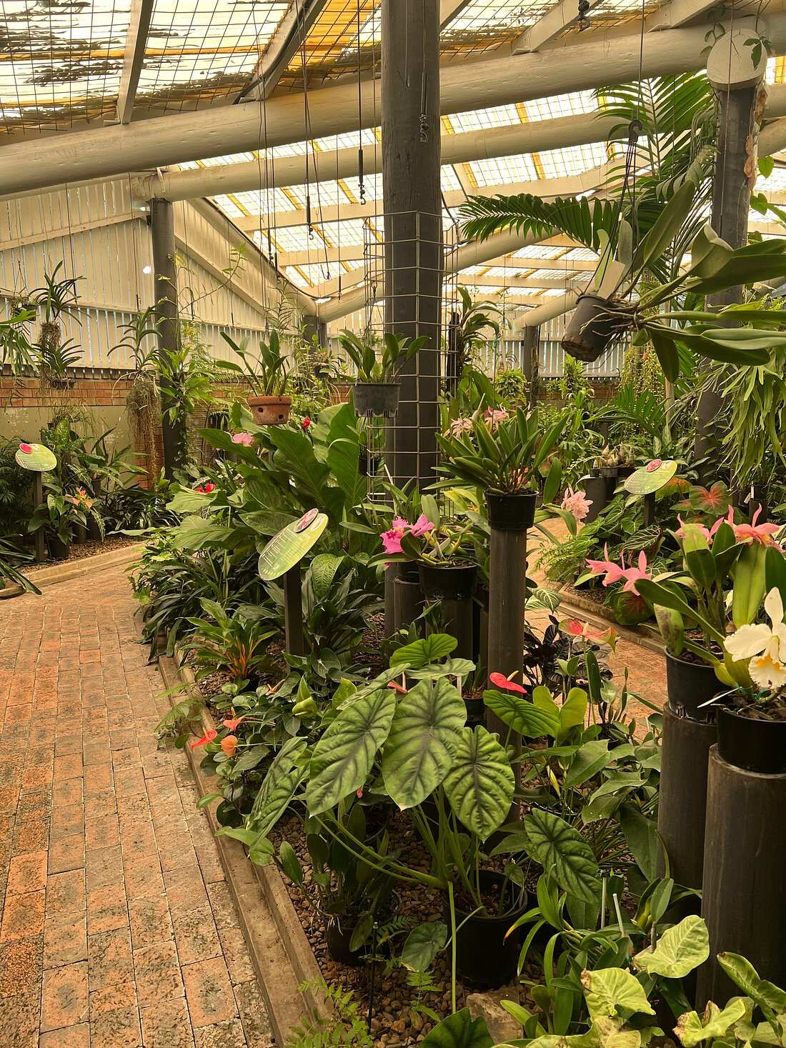 Orchid Display House