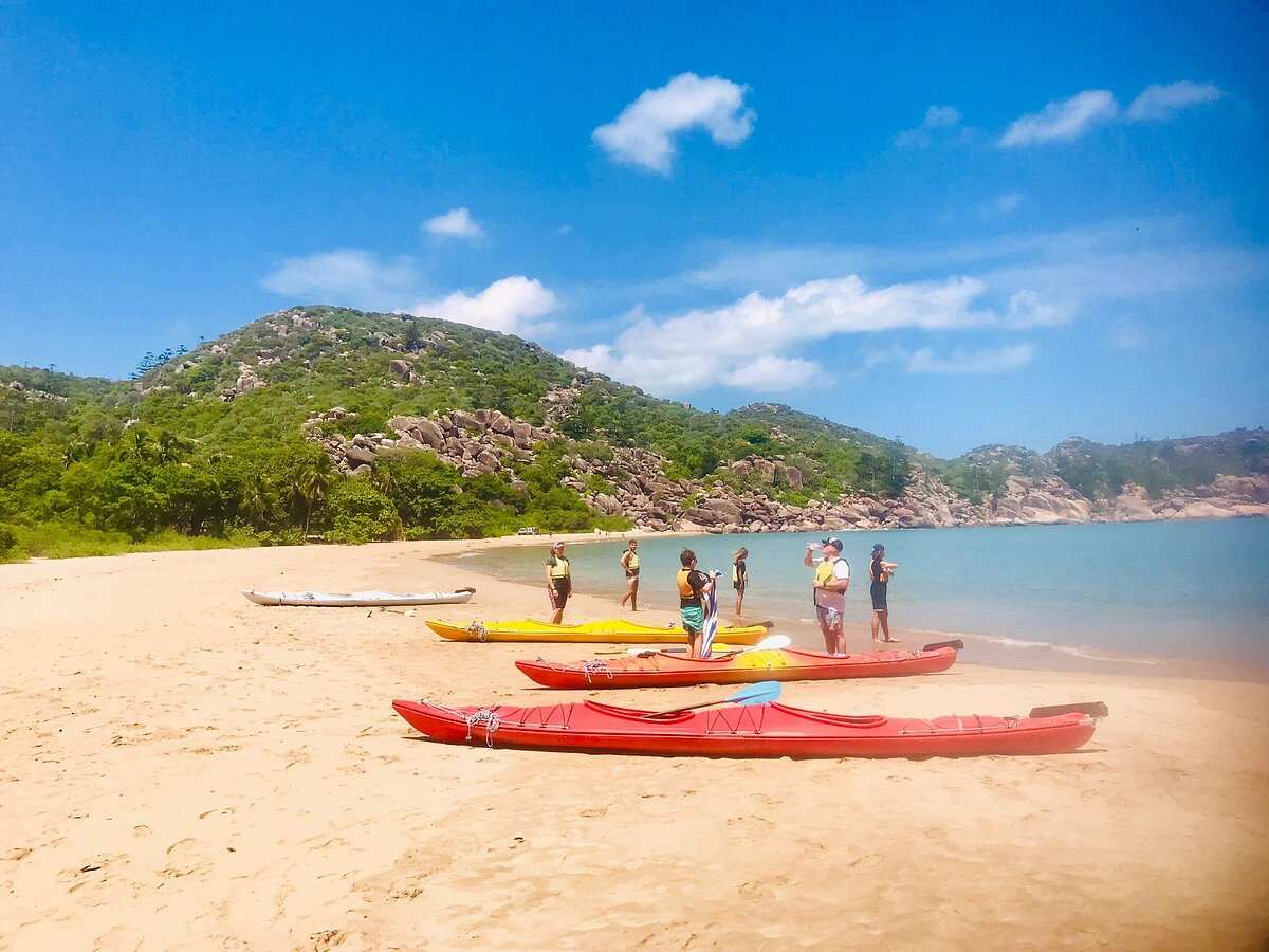 Radical Bay