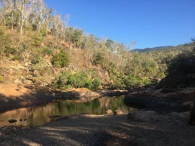 Alligator Creek