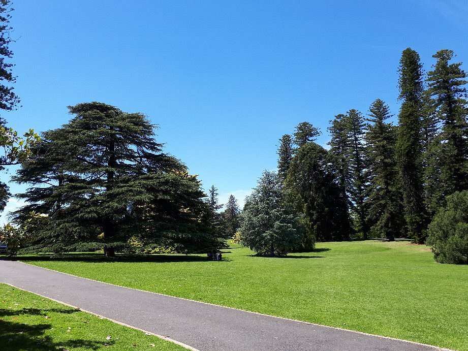 Adelaide Botanic Garden