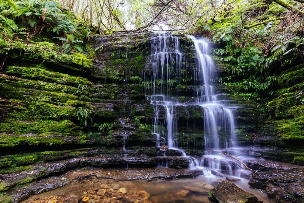 Waterfall Gully