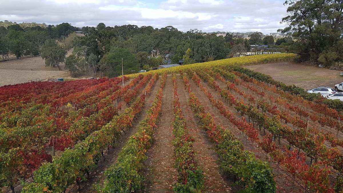 Hahndorf Hill Winery