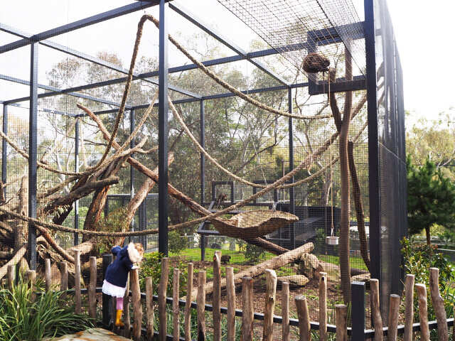 Gorge Wildlife Park