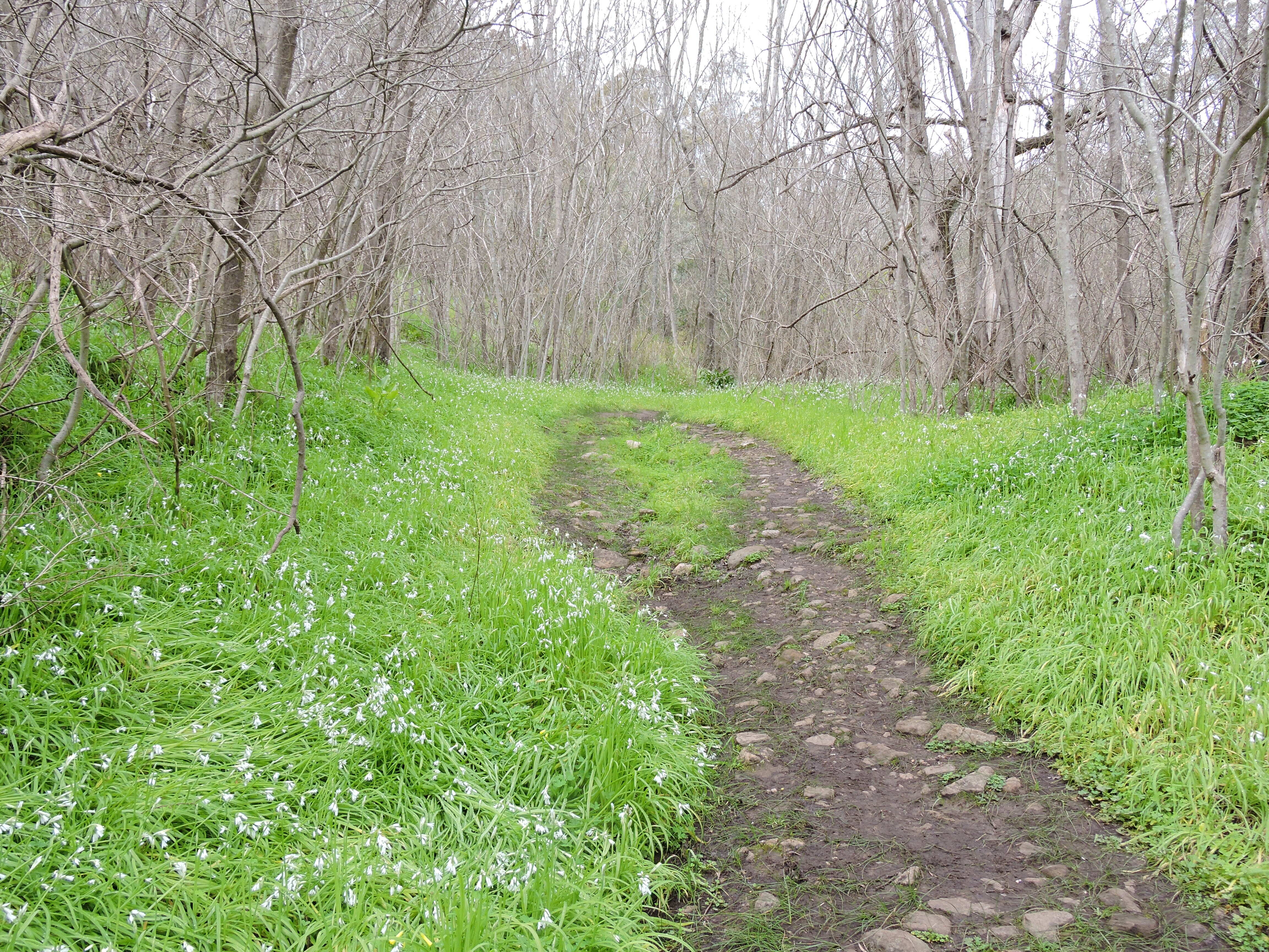 Horsnell Gully Conservation Park