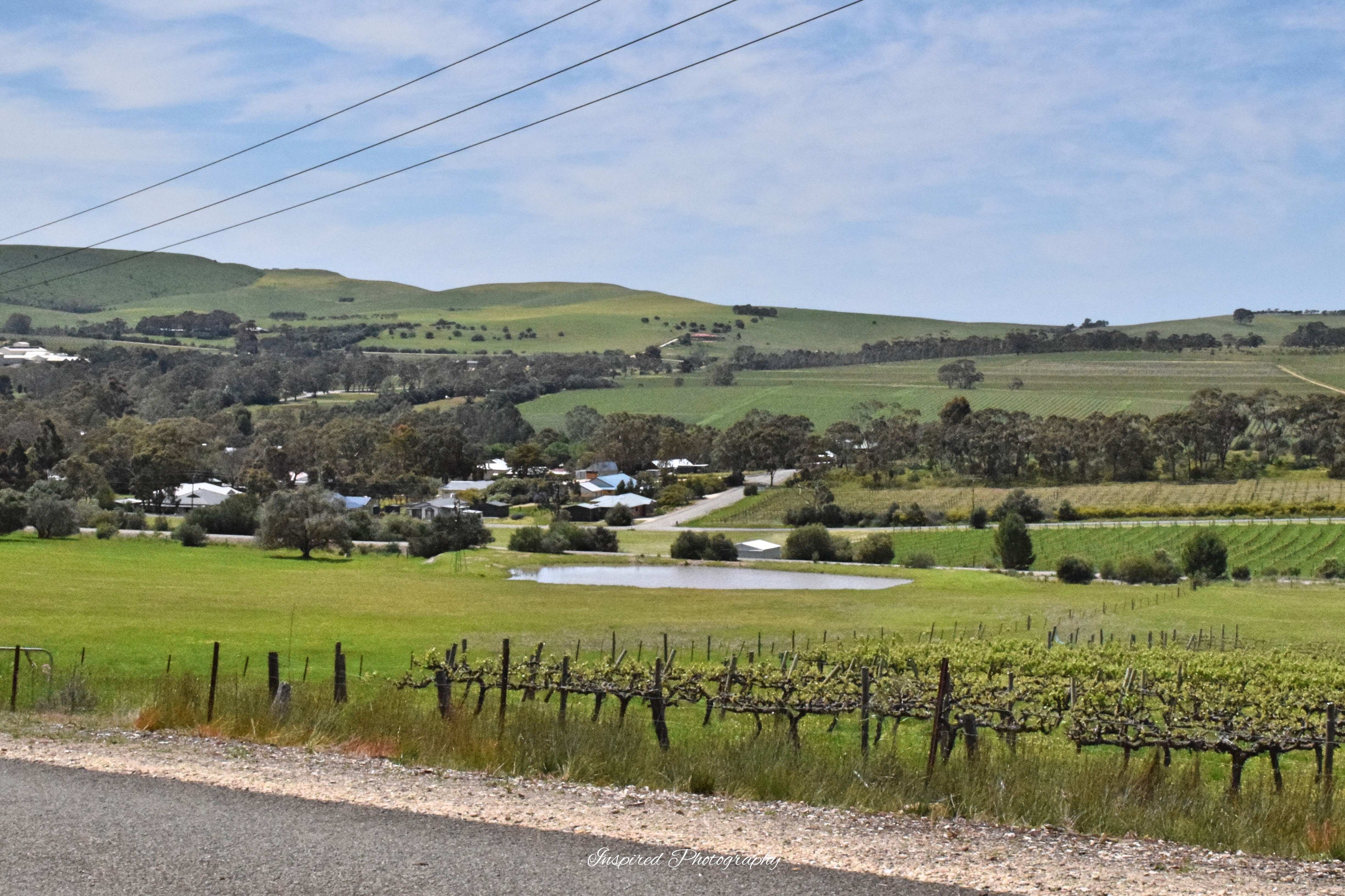 Spring Gully Scenic Drive 18