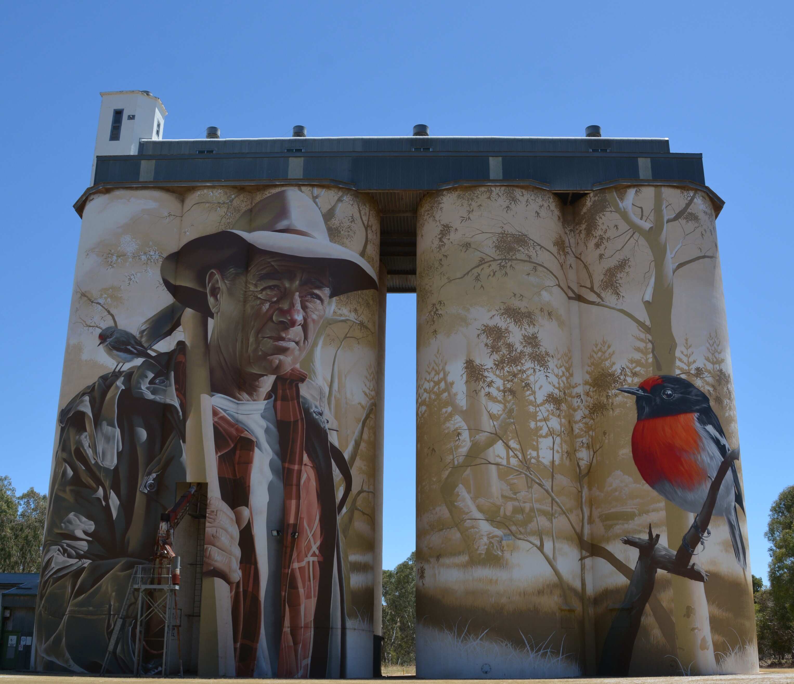 Tumby Bay Art Silos