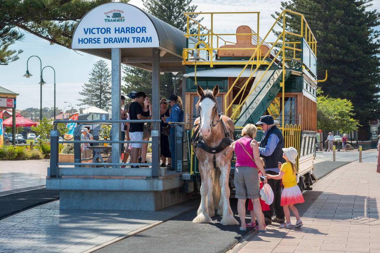Victor Harbor Horse Drawn Tram