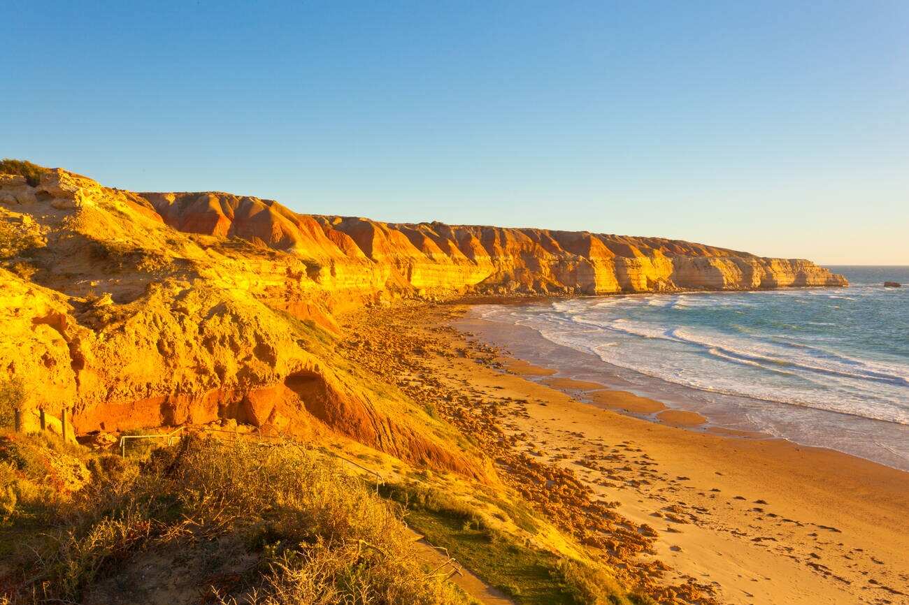 Maslin Beach