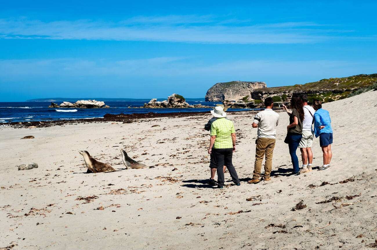 Seal Bay Conservation Park