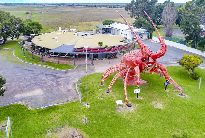 Larry The Big Lobster