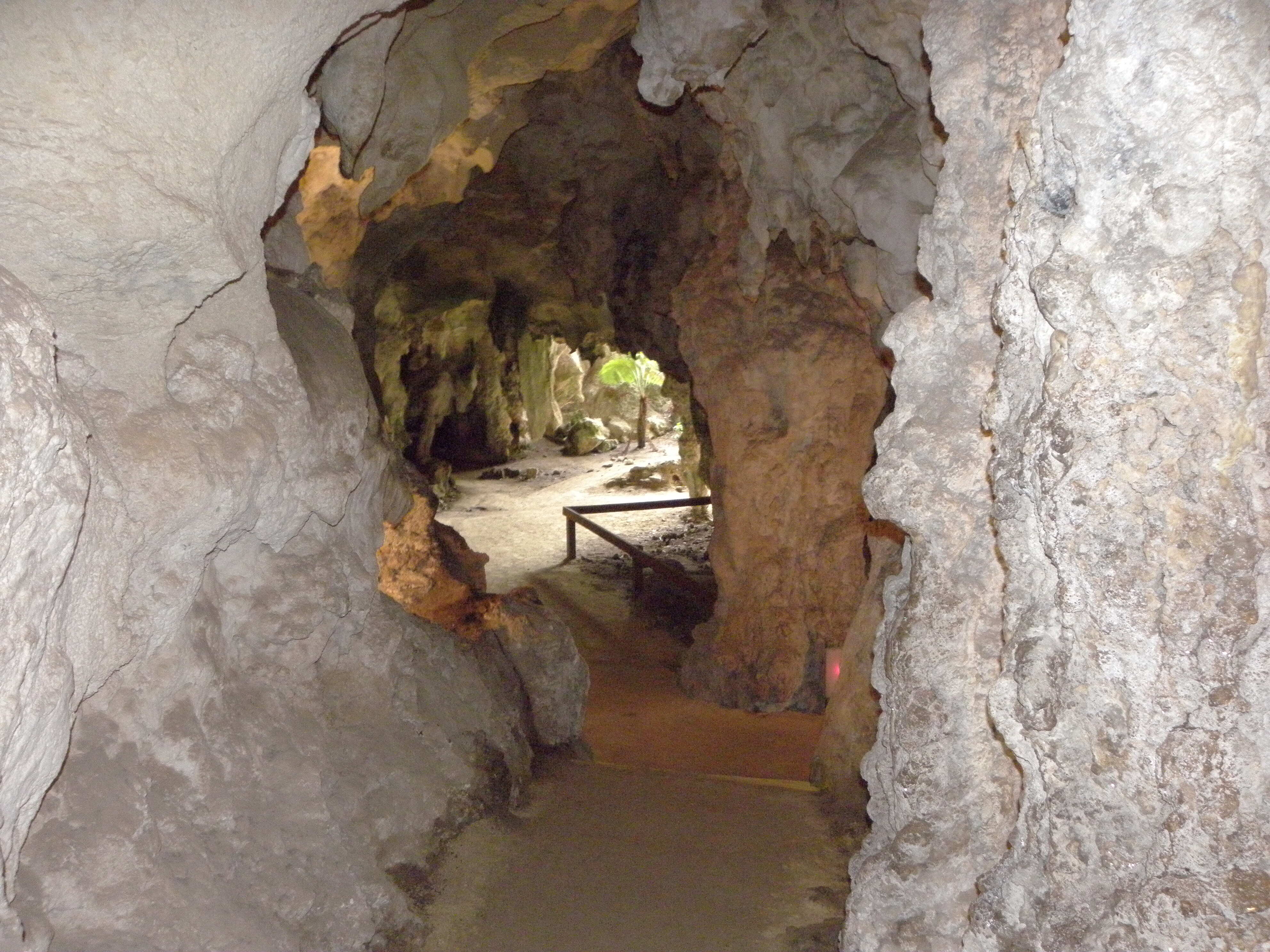 Naracoorte Caves National Park