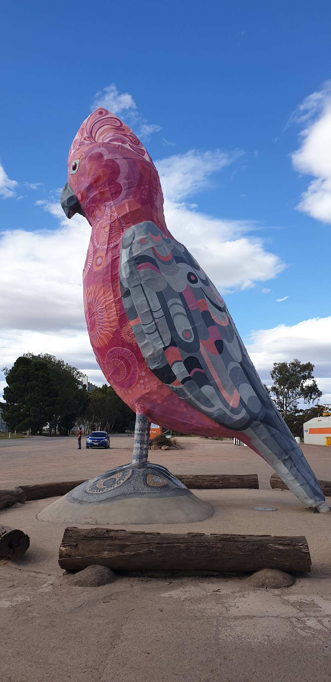 The Big Galah