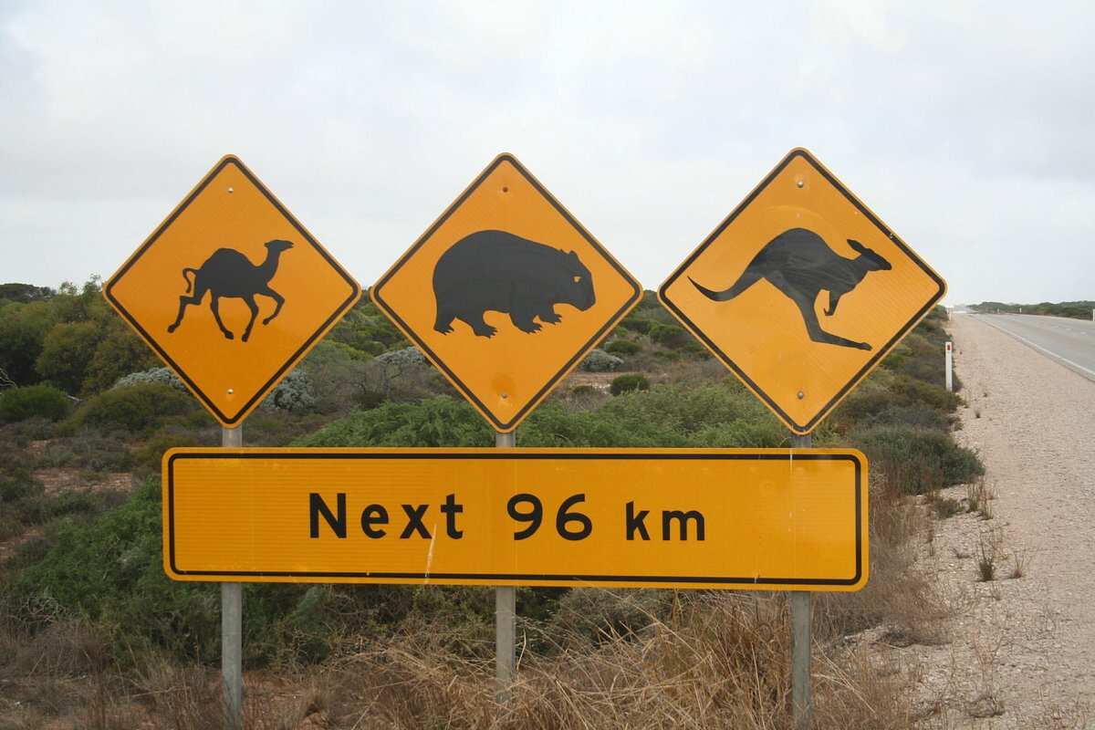 Nullarbor Links