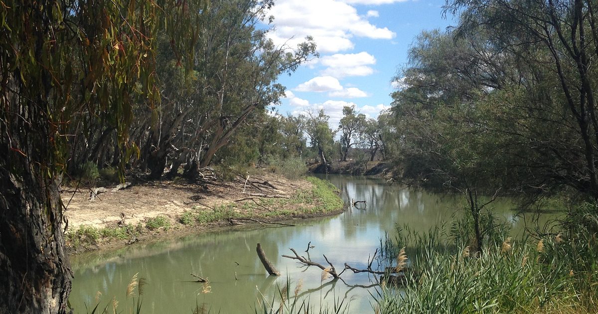 Chowilla Game Reserve