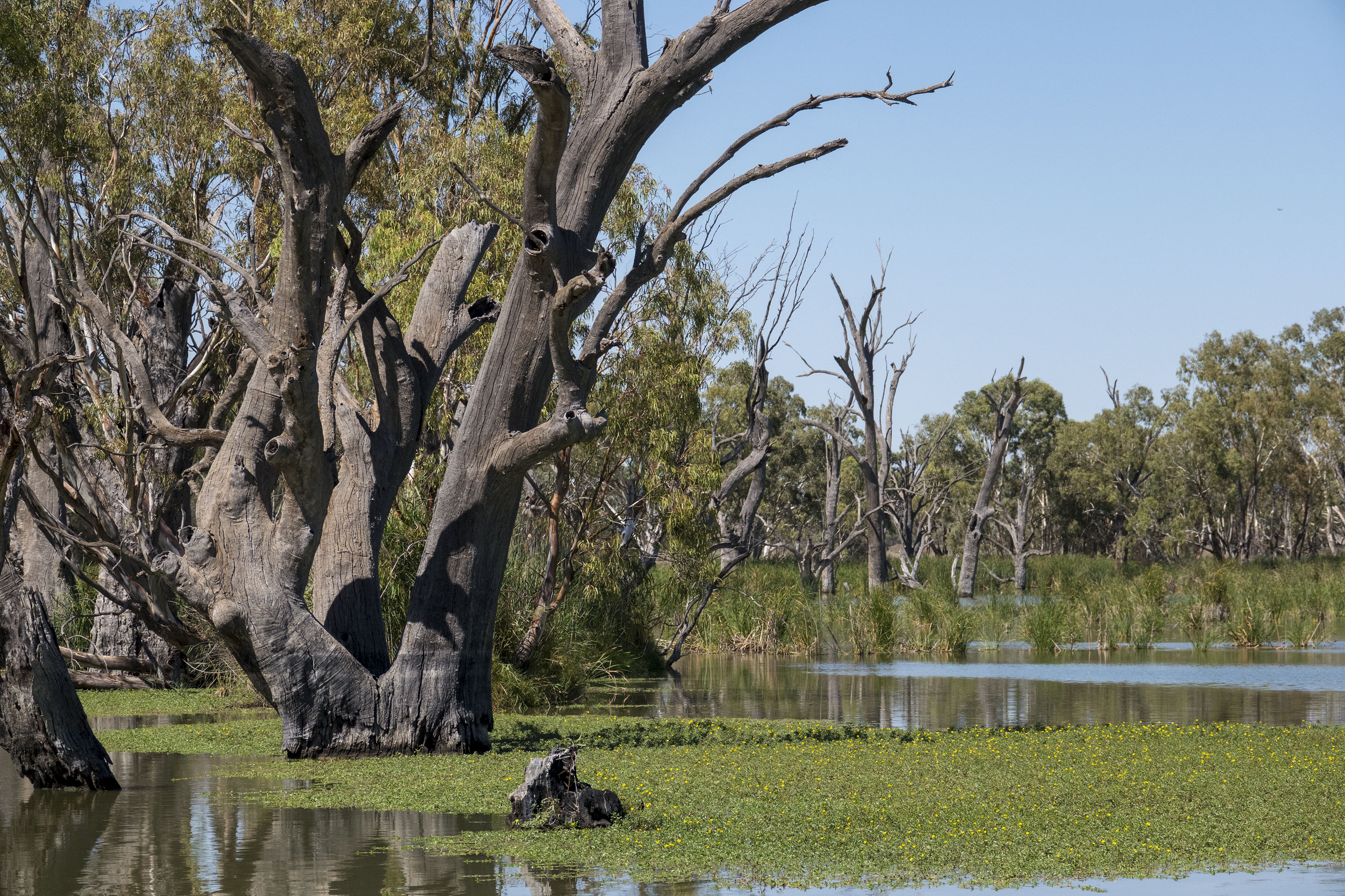 Loch Luna Game Reserve