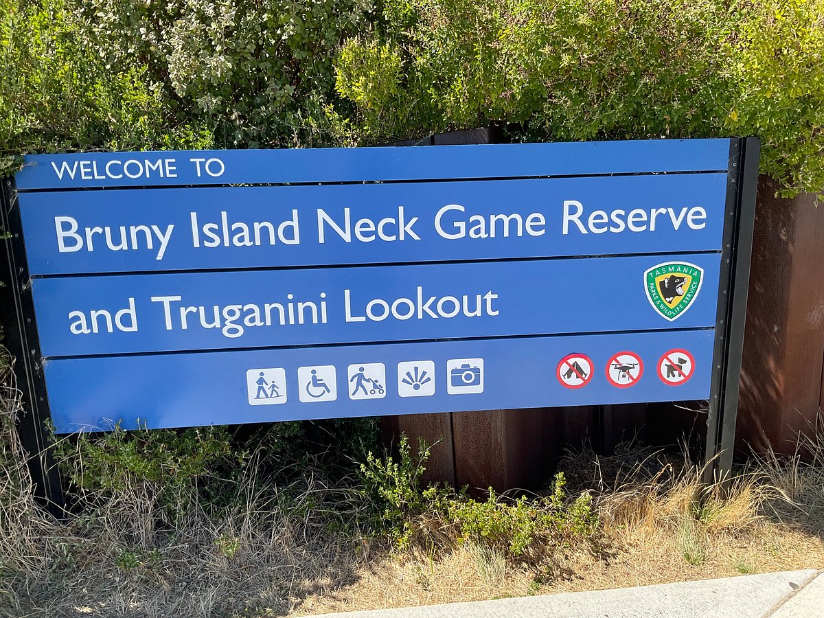 The Neck