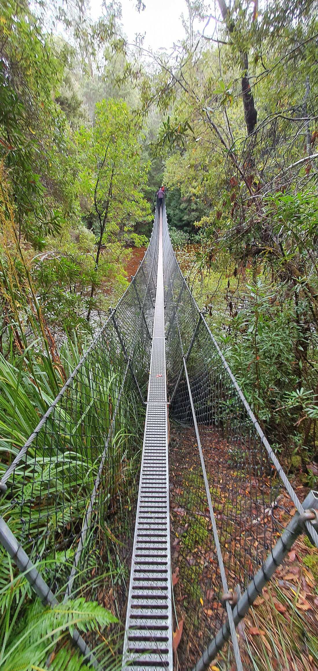 Derwent Bridge