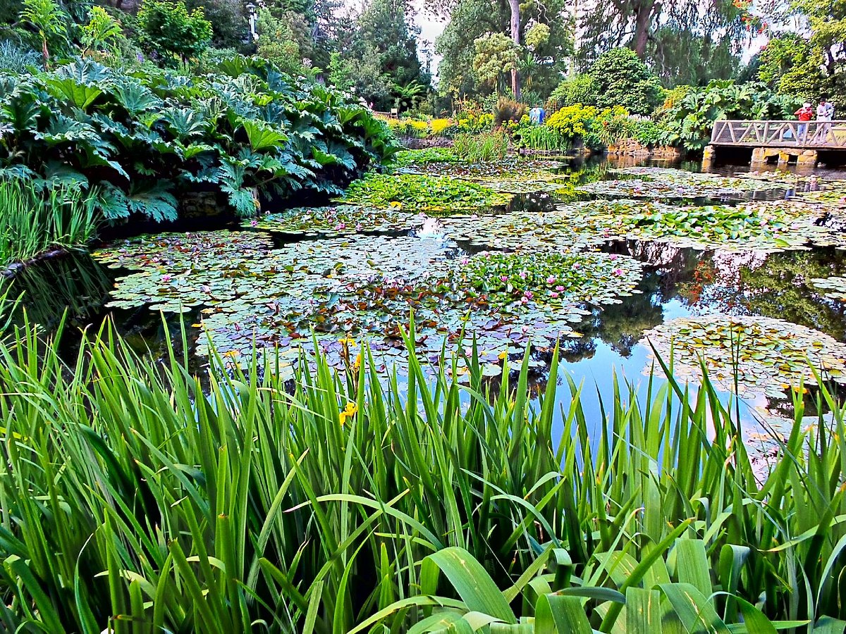 Royal Tasmanian Botanical Gardens