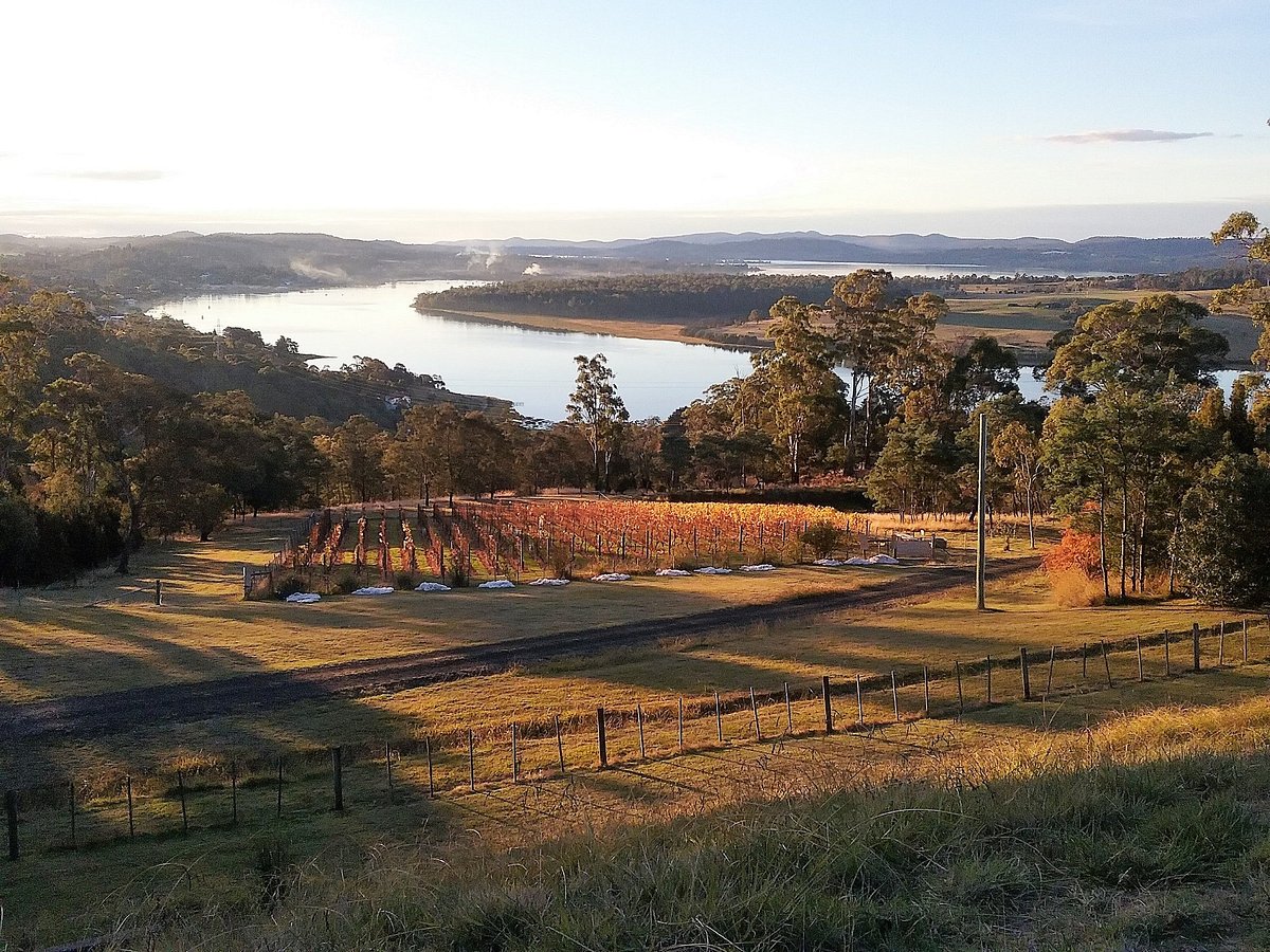 Tamar Valley