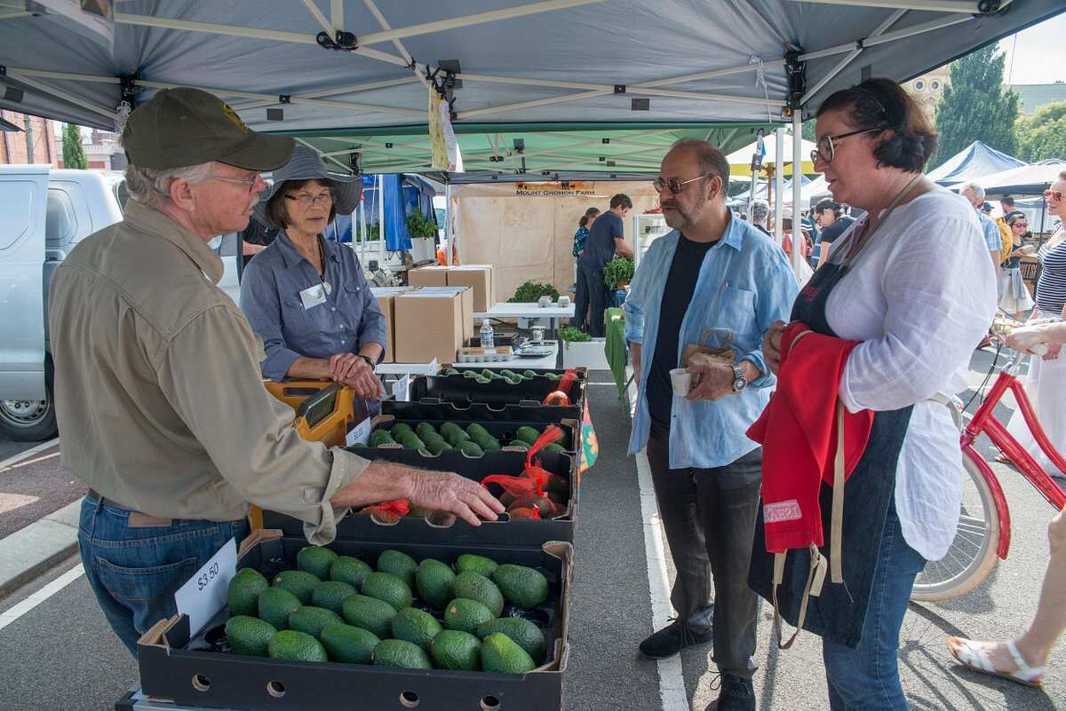 Harvest Market