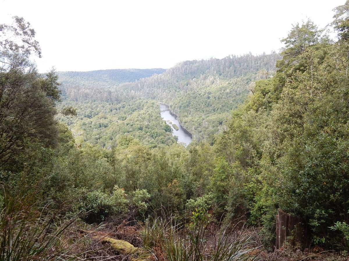 Tarkine Drive