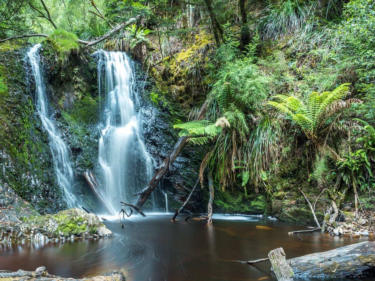 Hogarth Falls