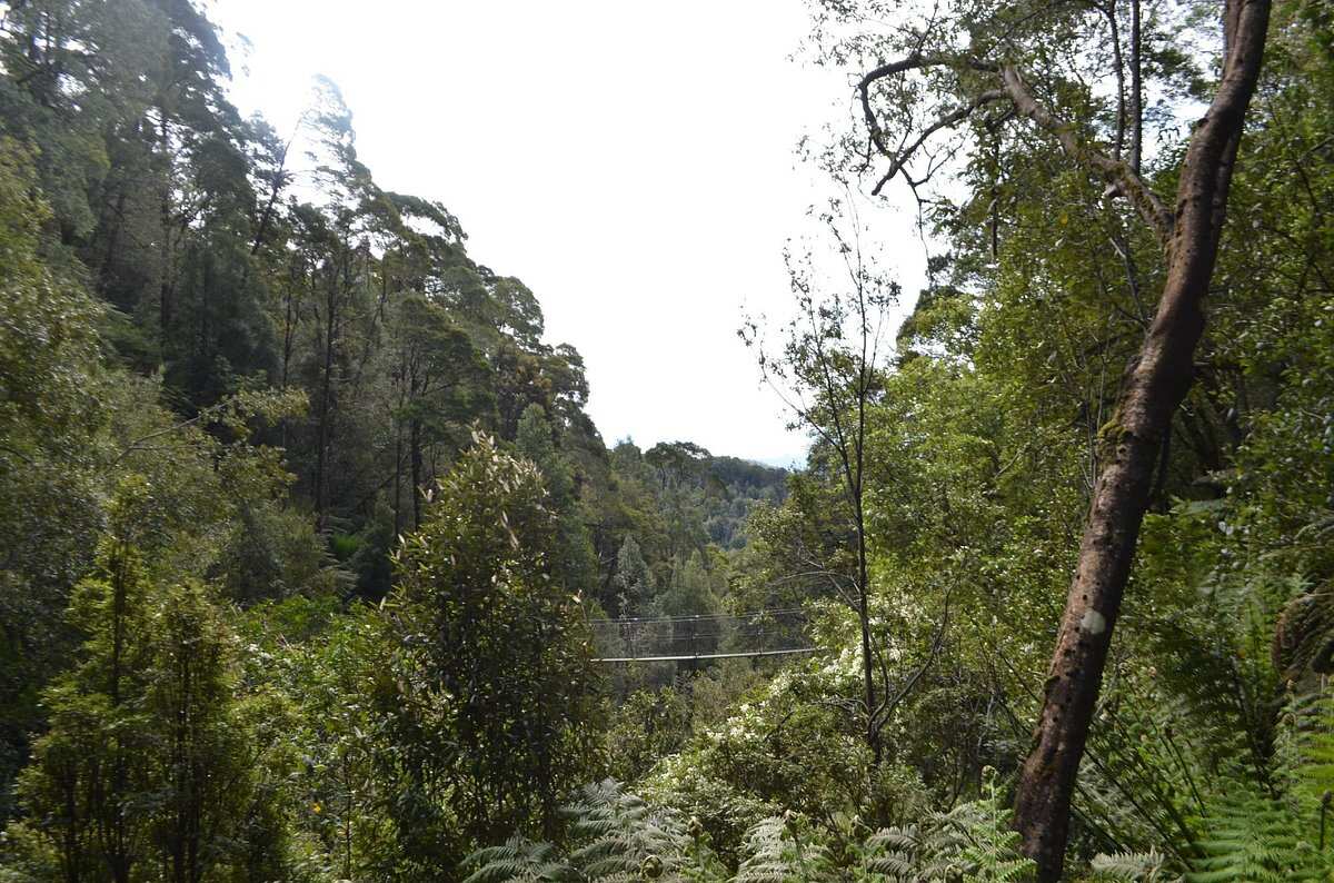 Montezuma Falls